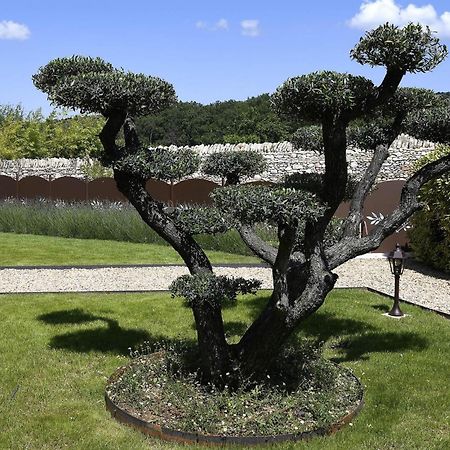 לינה וארוחת בוקר Roussillon en Isere Bastide Des Demoiselles מראה חיצוני תמונה